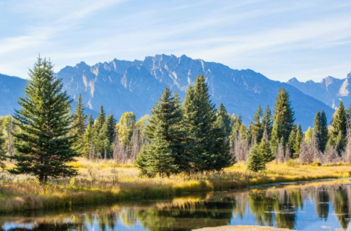 Wyoming